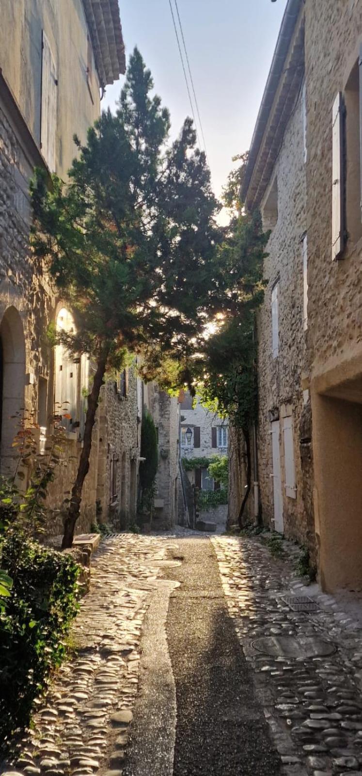 Maison Ancienne Romantique Avec Terrasse Panoramique 维逊拉洛梅尼 外观 照片